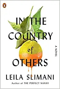 In the Country of Others: A Novel 