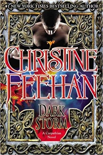 Dark Storm (The Dark Book 23) 