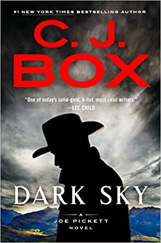 Dark Sky (A Joe Pickett Novel Book 21) 