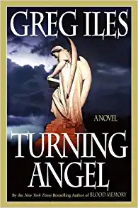 Turning Angel: A Novel (Penn Cage Book 2) 