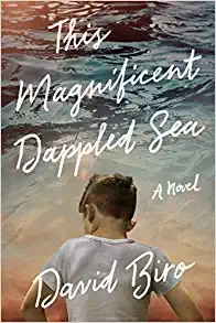 This Magnificent Dappled Sea: A Novel by David Biro 