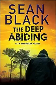 The Deep Abiding: A Crime Thriller (Ryan Lock Book 10) 