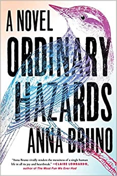 Ordinary Hazards by Anna Bruno 